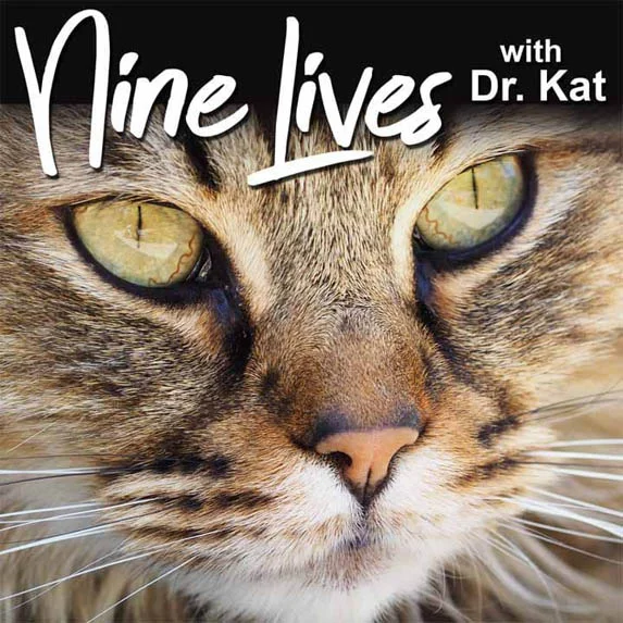 Why do cats purr? Find out on Nine Lives with Dr. Kat cat podcast on Pet Life Radio