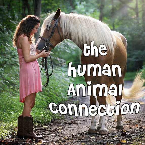 The Human Animal Connection  on Pet Life Radio